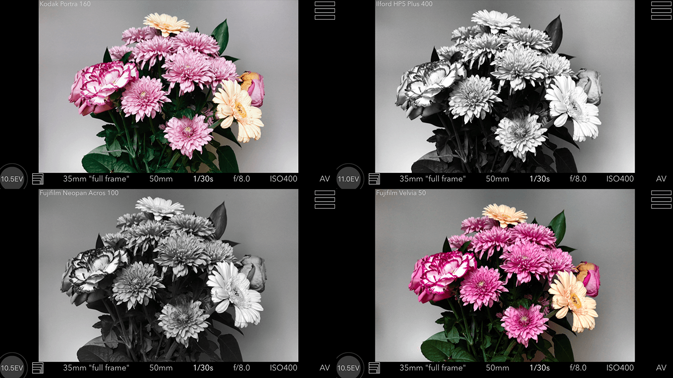 2x2 grid demonstrating different film emulation filters